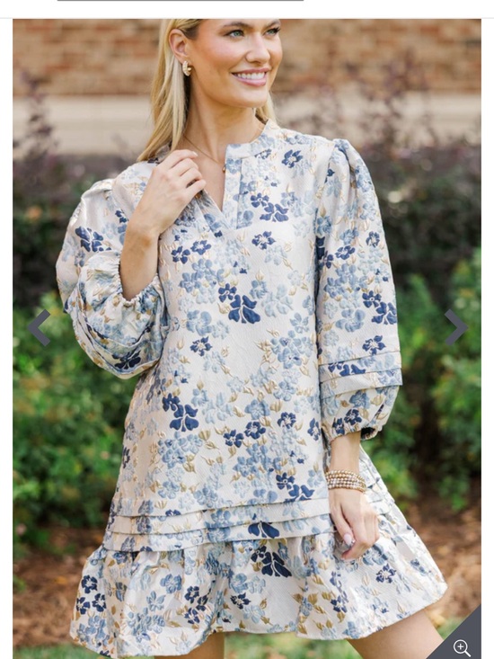 Lovelo Dresses & Skirts - Lovelo Cream Mini Dress with Blue Floral Print and Puff Sleeves